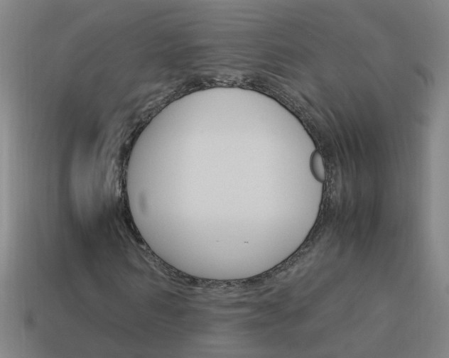 X0000113990962200910021006