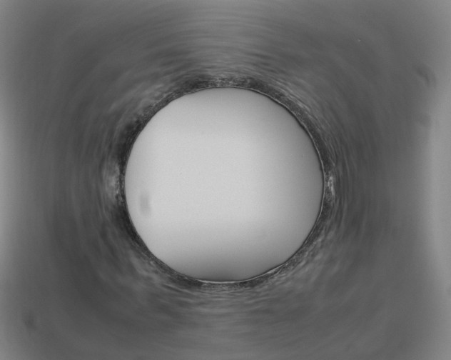 X0000113990963200910021006