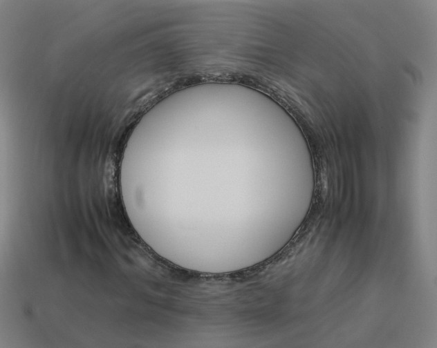 X0000113990964200910021006