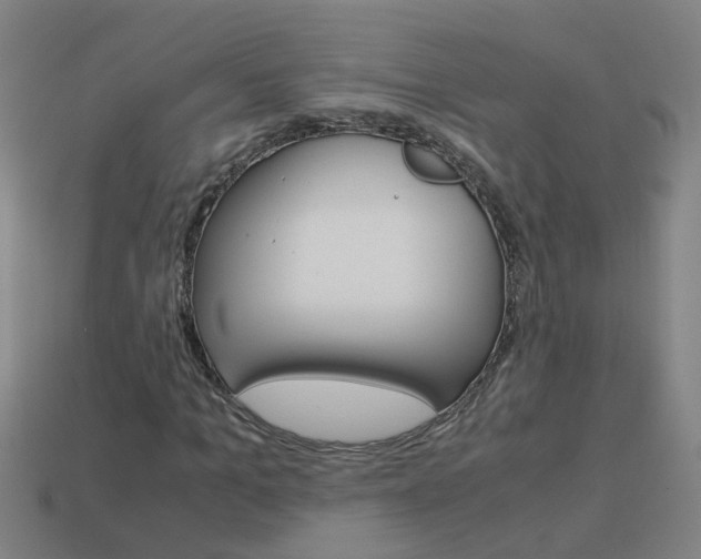 X0000113990965200910021006