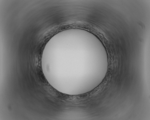 X0000113990966200910021006