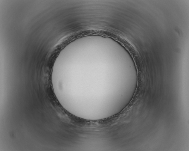 X0000113990968200910021006
