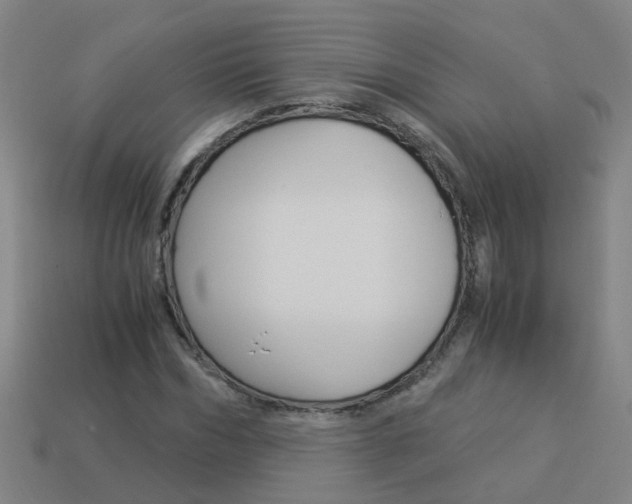 X0000113990970200910021006