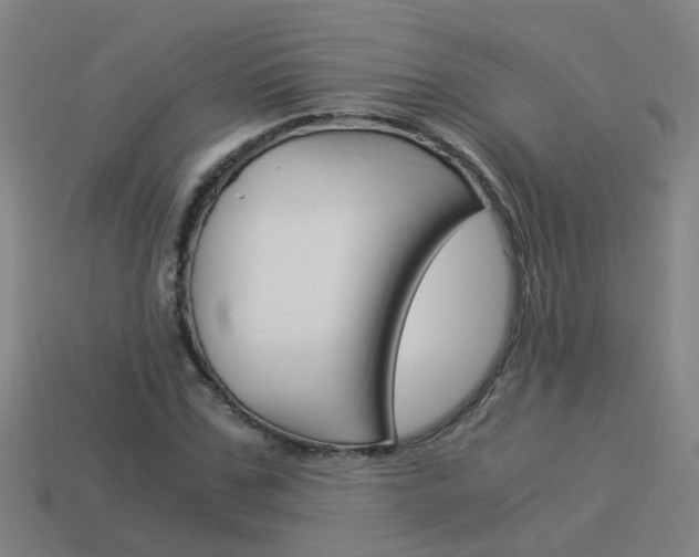 X0000113990971200910021006