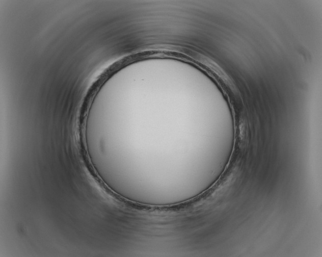 X0000113990972200910021006