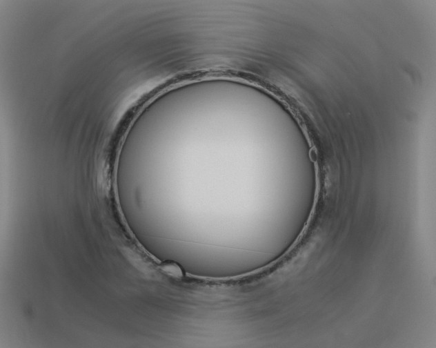 X0000113990973200910021006