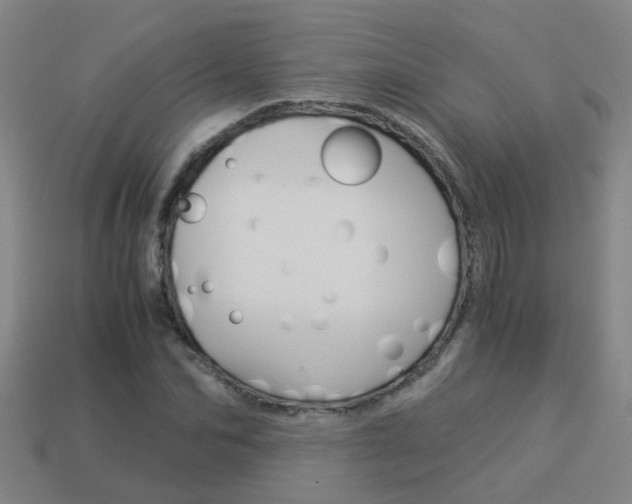 X0000113990974200910021006