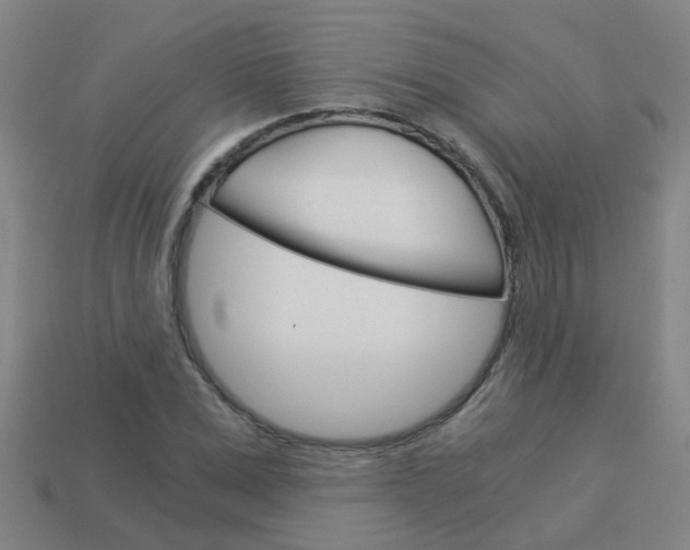 X0000113990975200910021006