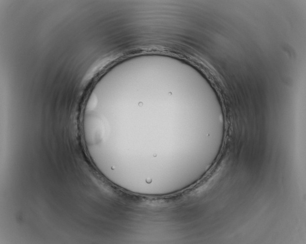 X0000113990978200910021006