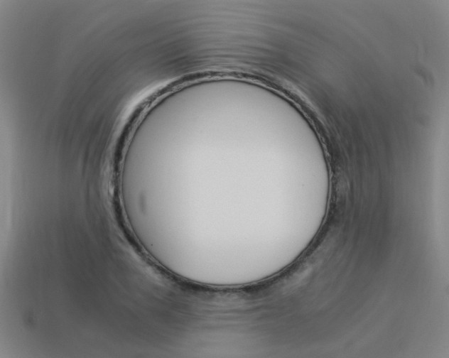 X0000113990979200910021006