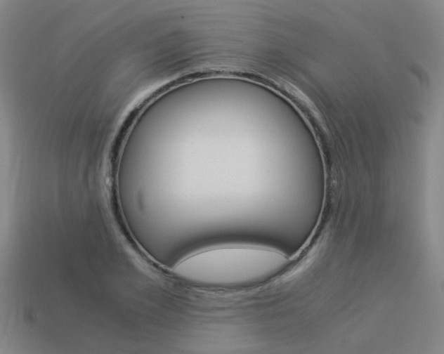 X0000113990981200910021006