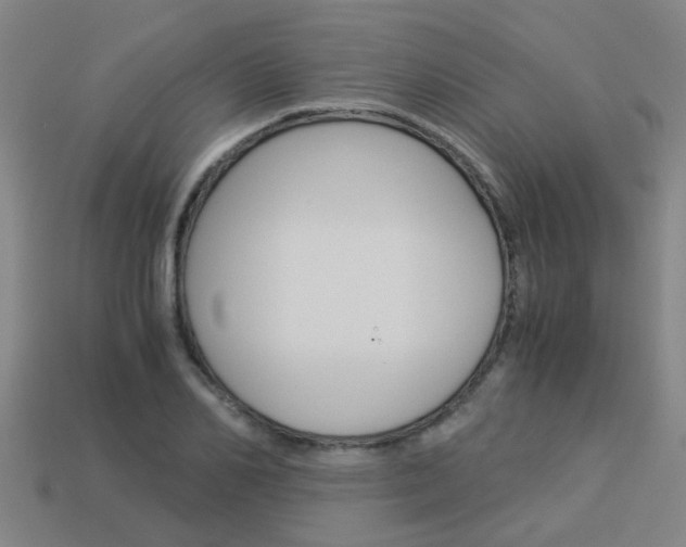 X0000113990982200910021006