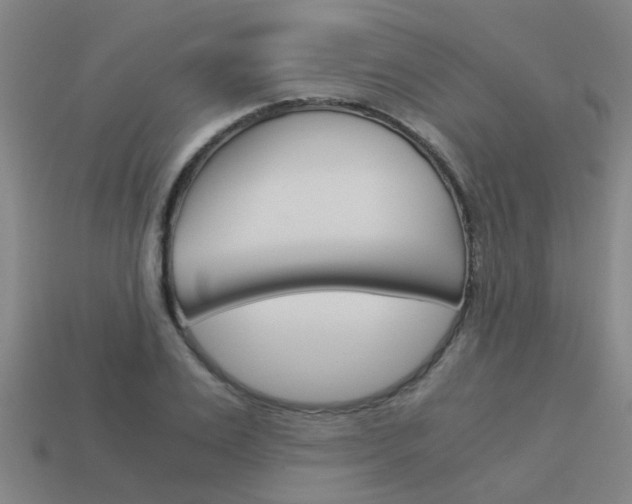 X0000113990983200910021006