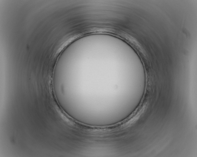 X0000113990985200910021006