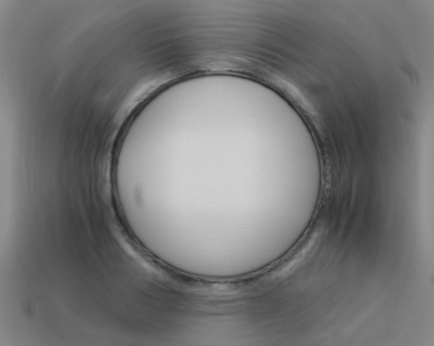 X0000113990986200910021006