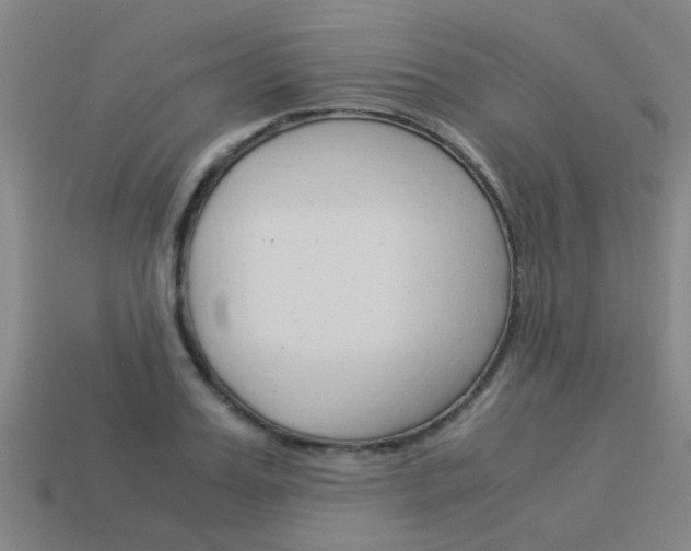 X0000113990987200910021006