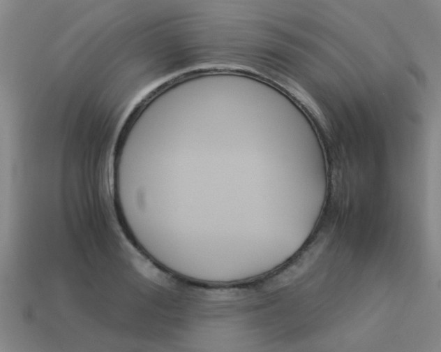 X0000113990988200910021006