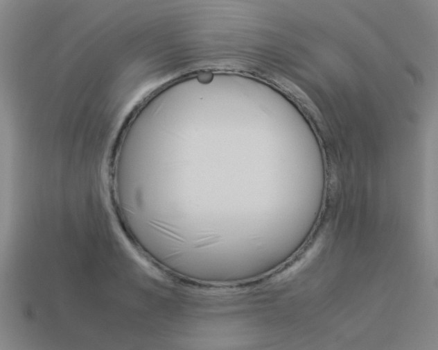 X0000113990989200910021006