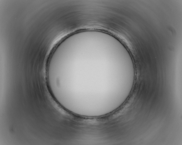 X0000113990990200910021006