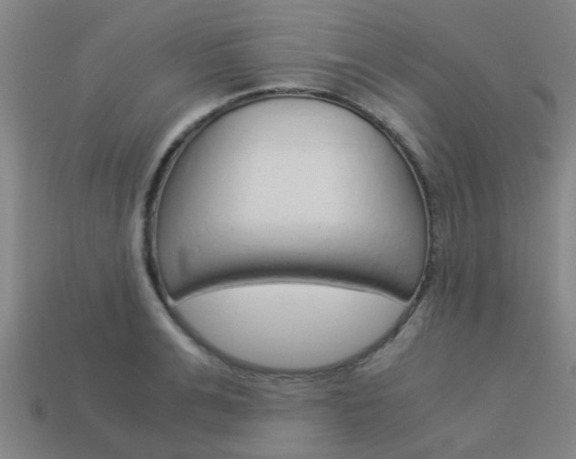 X0000113990991200910021006