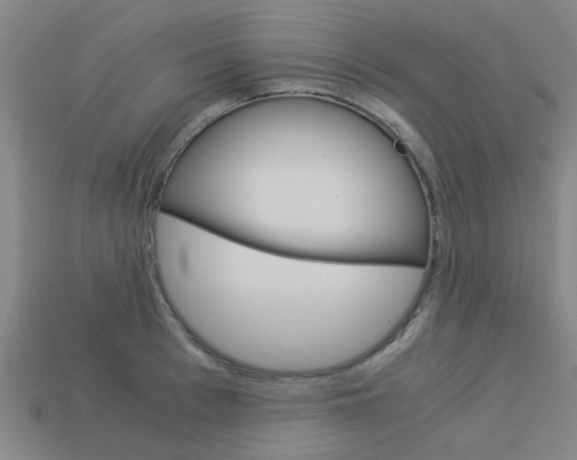 X0000113990993200910021006