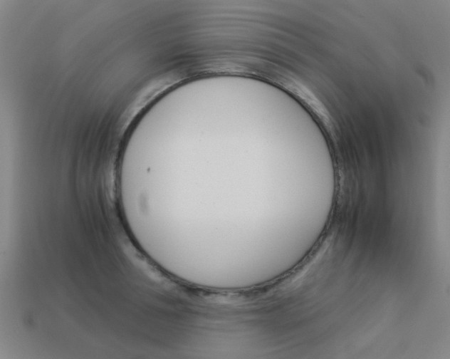 X0000113990994200910021006