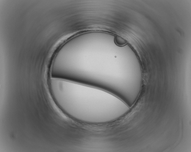X0000113990995200910021006