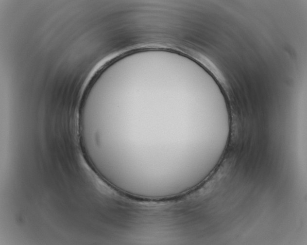X0000113990996200910021006
