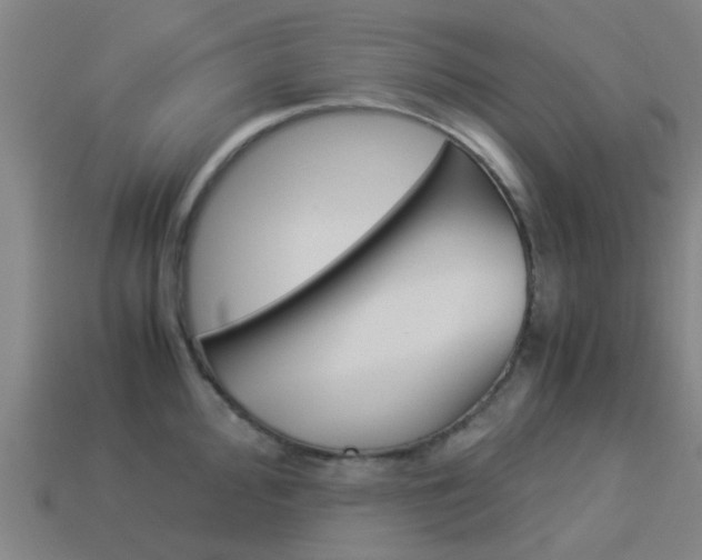 X0000113991000200910021006