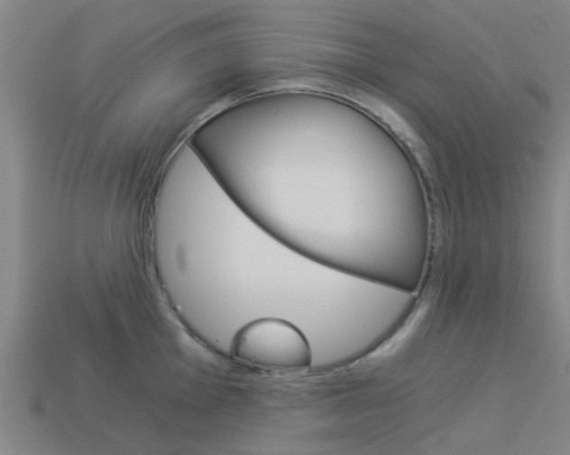 X0000113991001200910021006