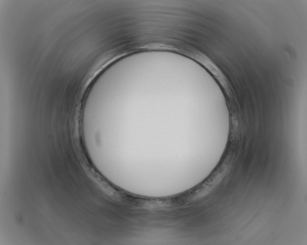 X0000113991002200910021006
