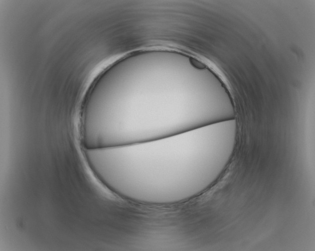 X0000113991003200910021006