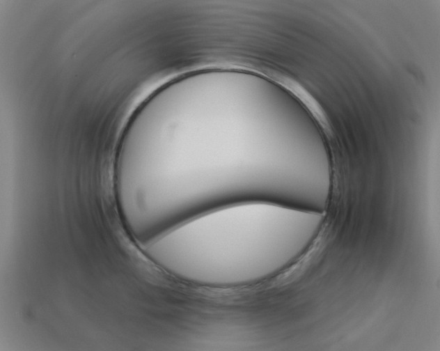 X0000113991004200910021006