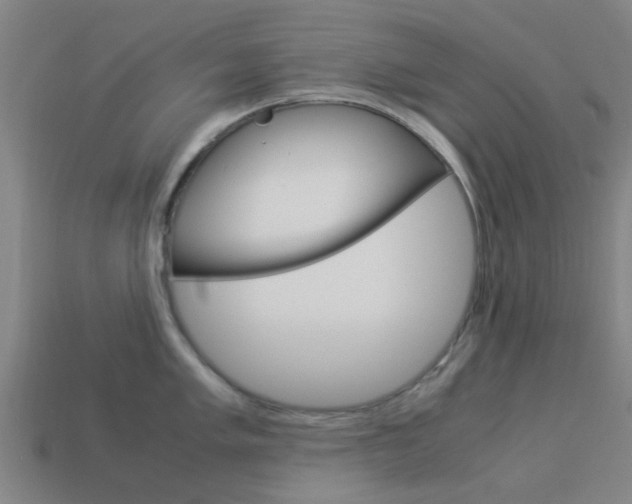 X0000113991005200910021006