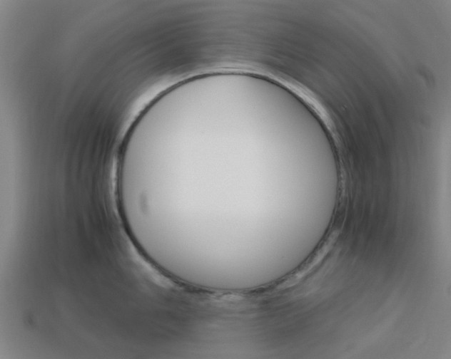 X0000113991006200910021006