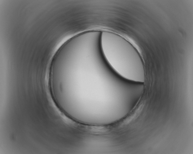 X0000113991007200910021006