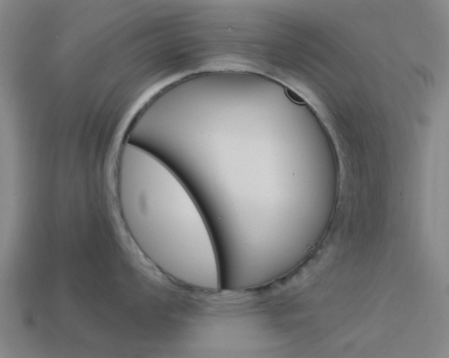 X0000113991008200910021006