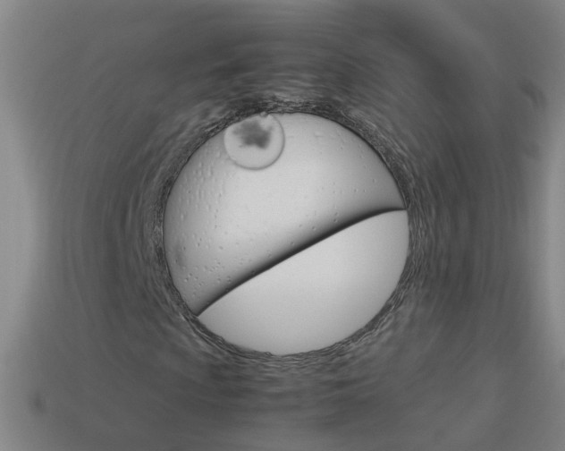 X0000113991009200910021005