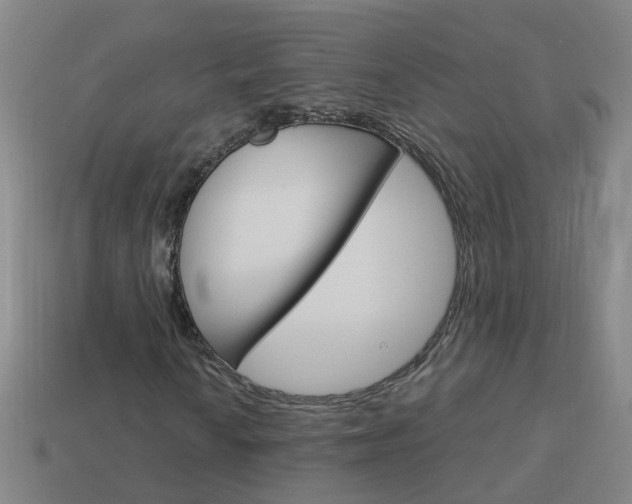 X0000113991010200910021005