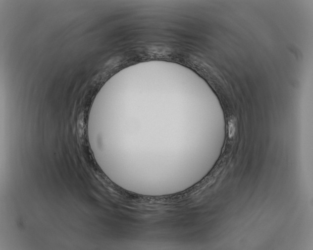 X0000113991011200910021005