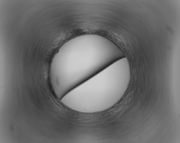 X0000113991012200910021005