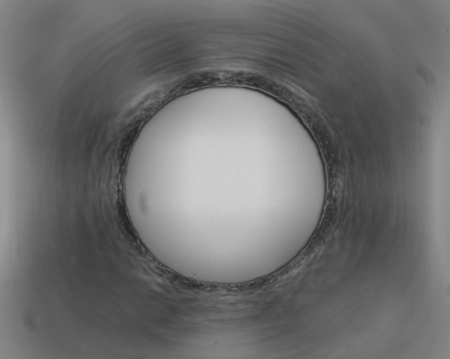 X0000113991014200910021005
