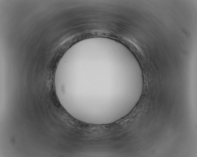 X0000113991015200910021005