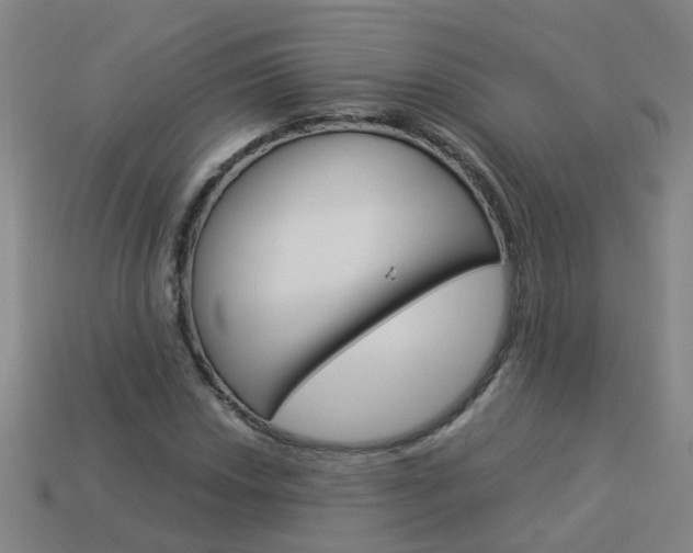 X0000113991018200910021005