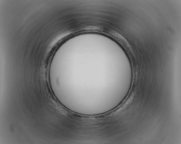 X0000113991019200910021005