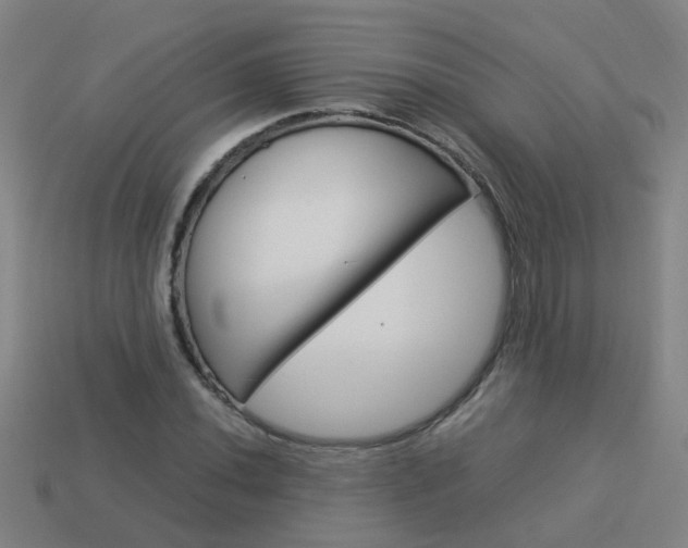 X0000113991020200910021005