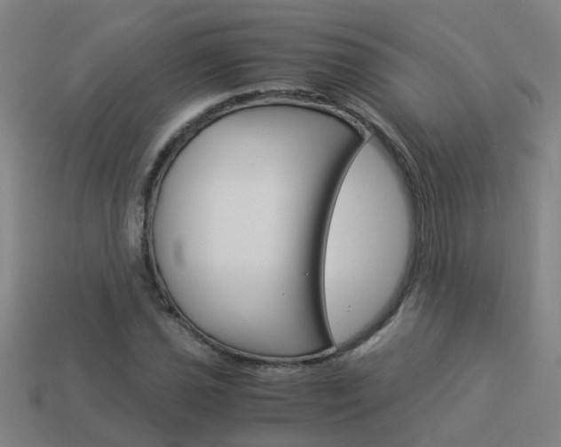 X0000113991021200910021005