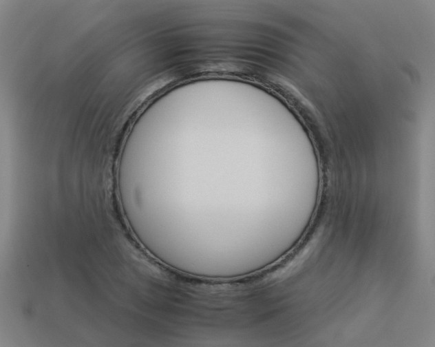 X0000113991025200910021005