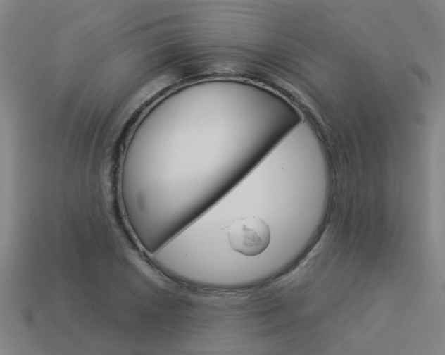 X0000113991026200910021005