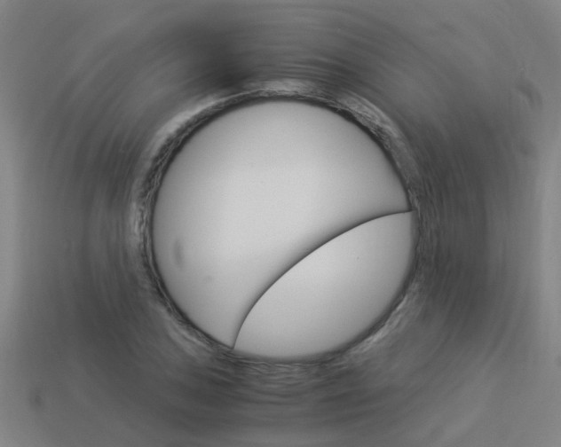 X0000113991027200910021005